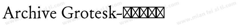 Archive Grotesk字体转换